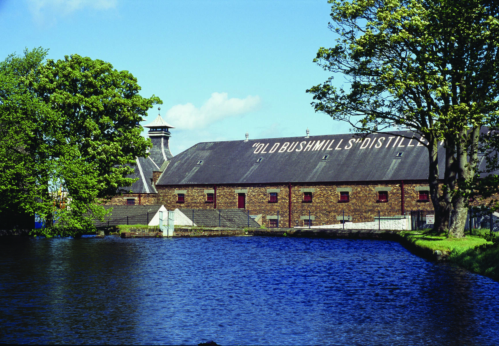 Bushmills Distillery Tour