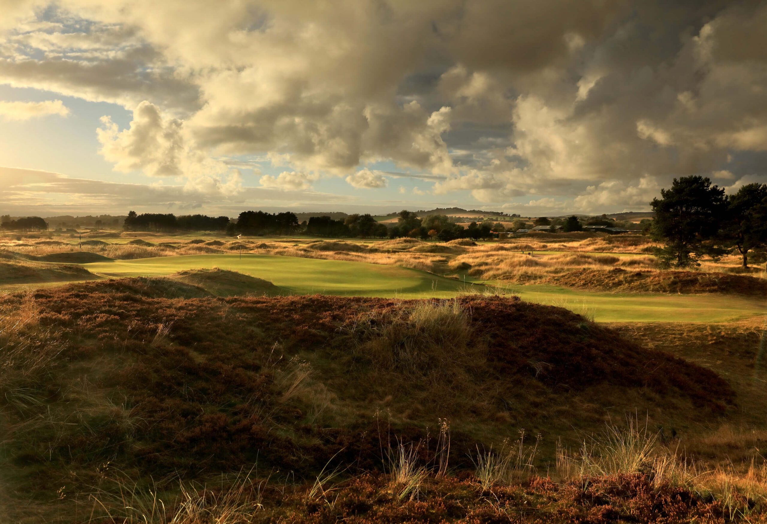 Panmure Golf Club Hogan