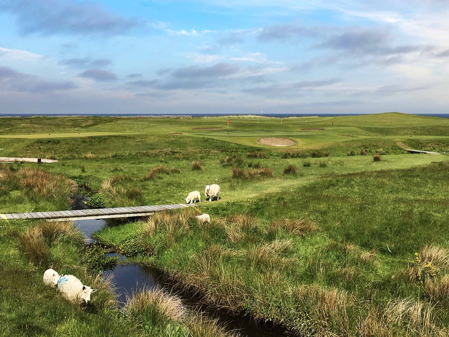 Brora golf club 13th hole