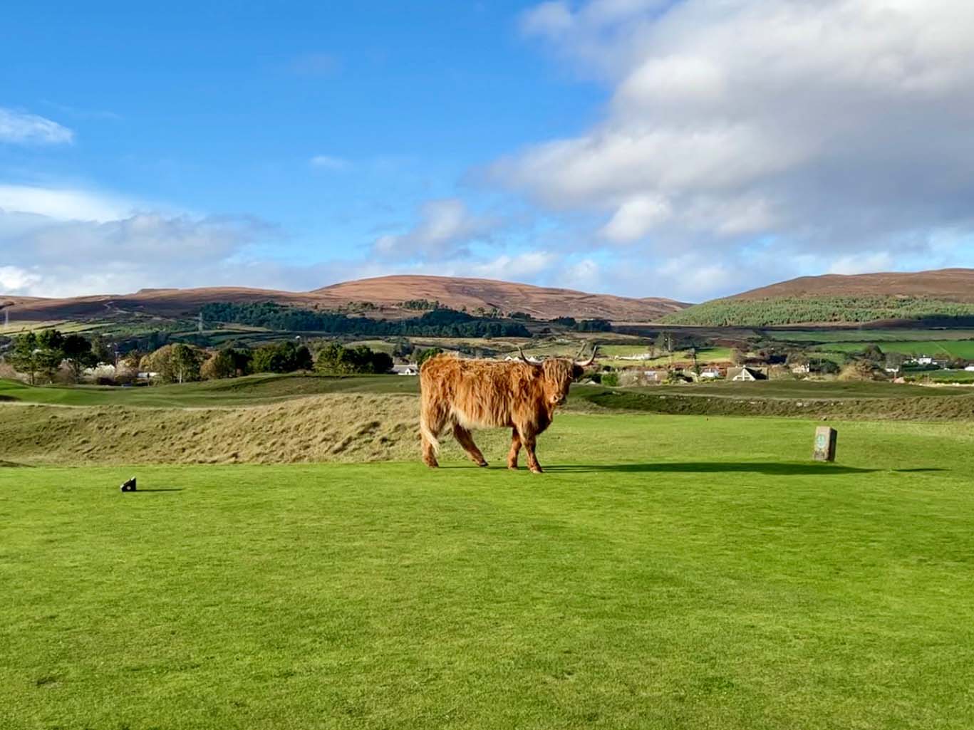 Brora Golf Club Scotland gallery