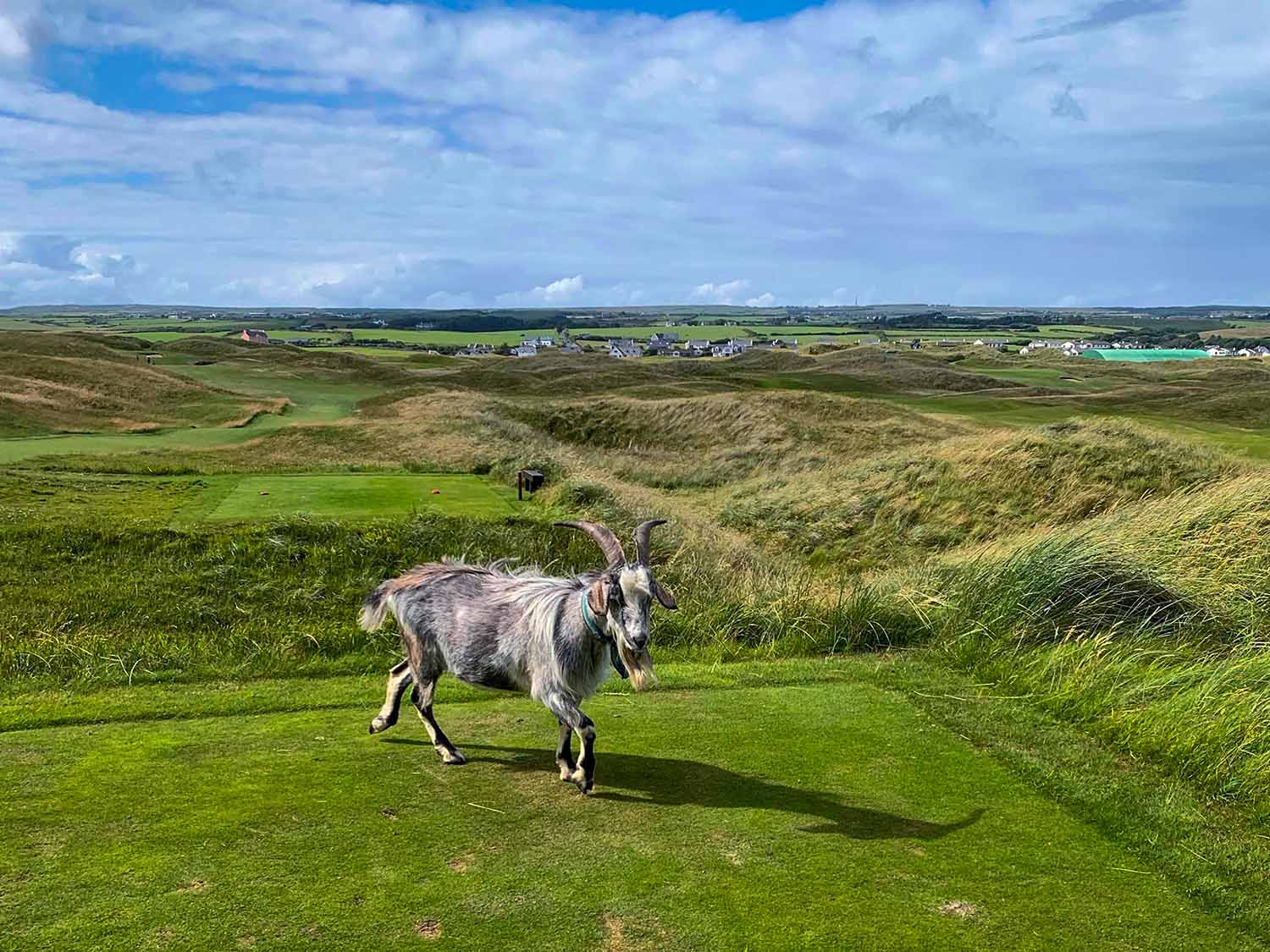 Lahinch Golf Club photo gallery