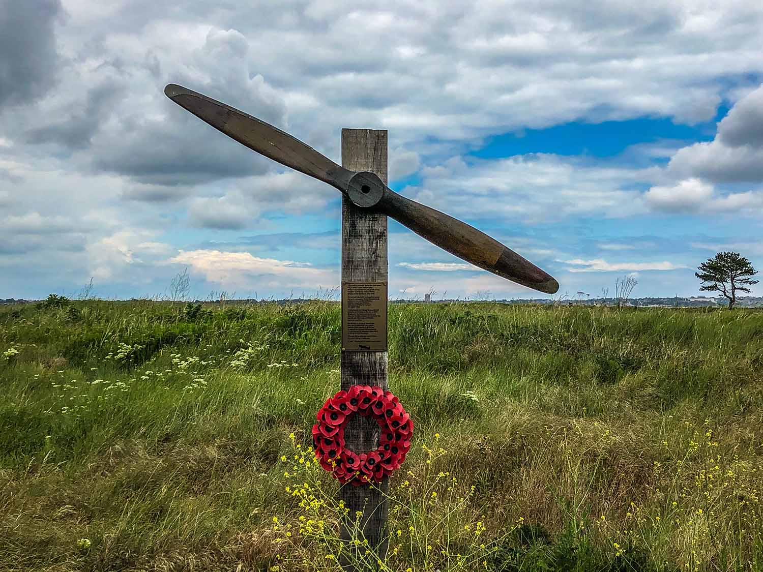 Prince's Golf Club England photo gallery