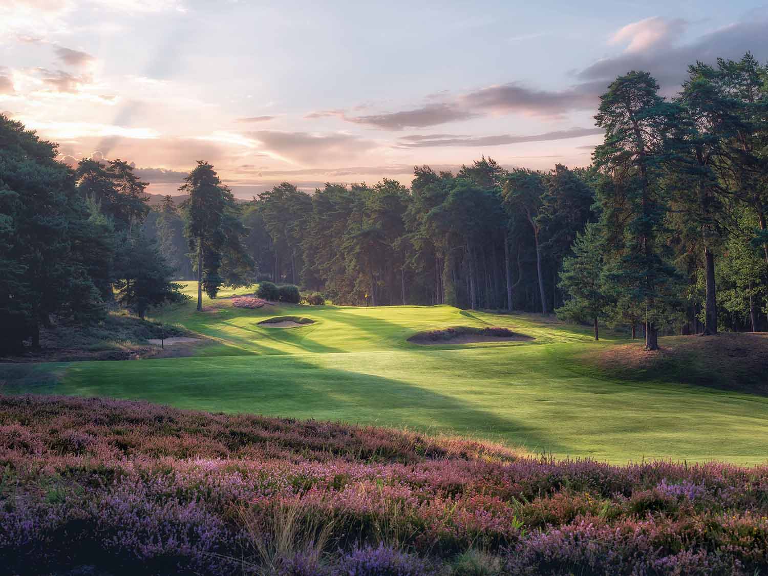 St. George's Hill Golf Club photo gallery