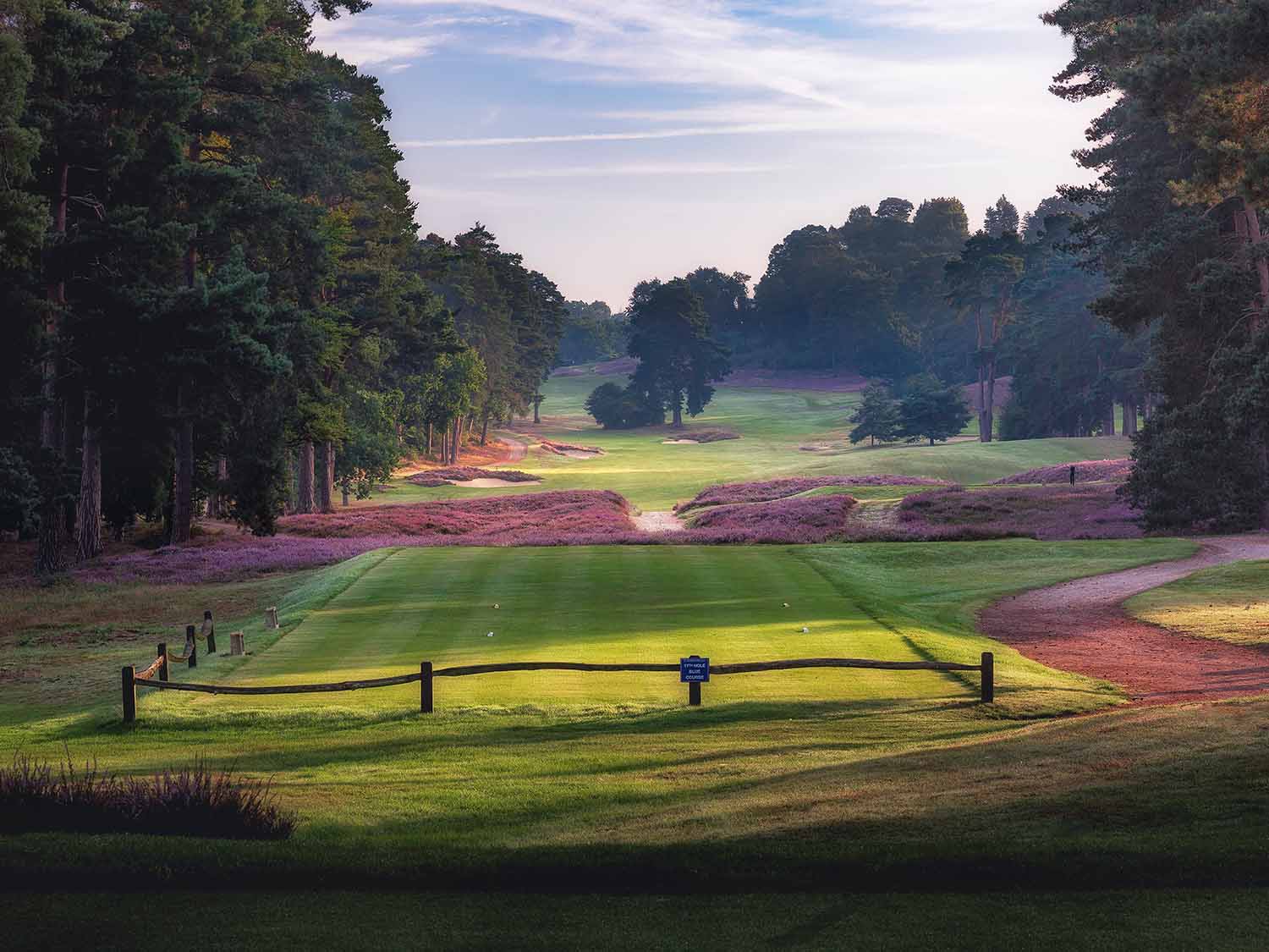 St. George's Hill Golf Club photo gallery