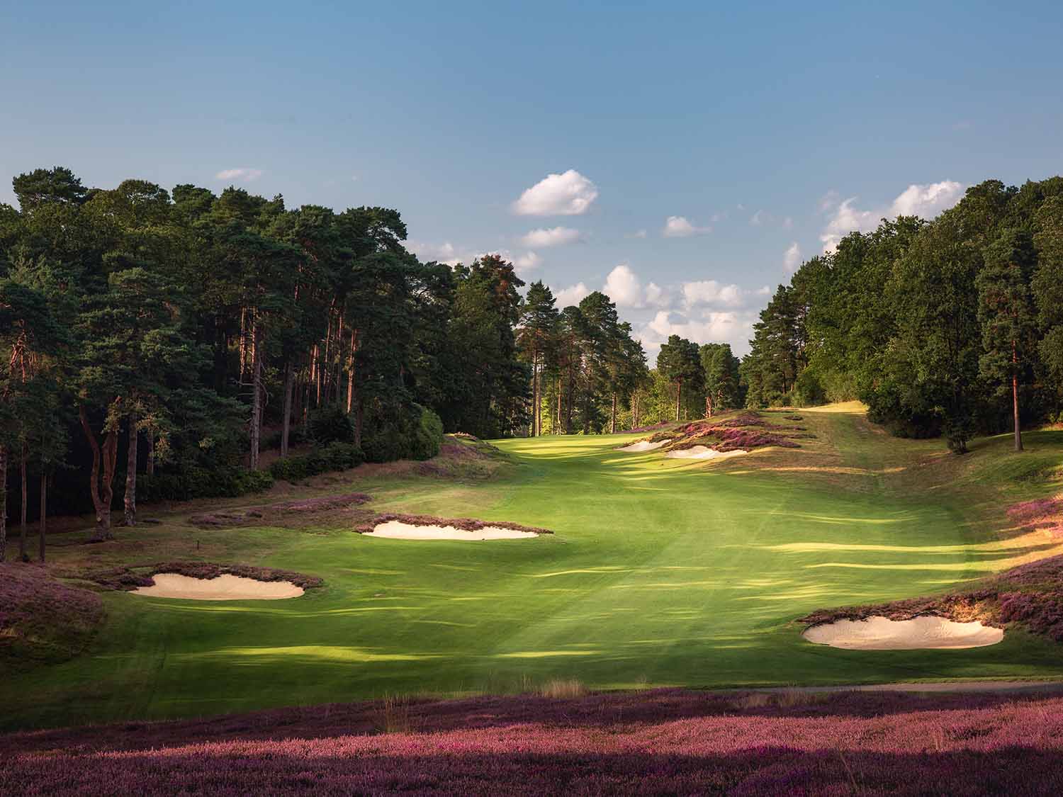 St. George's Hill Golf Club photo gallery