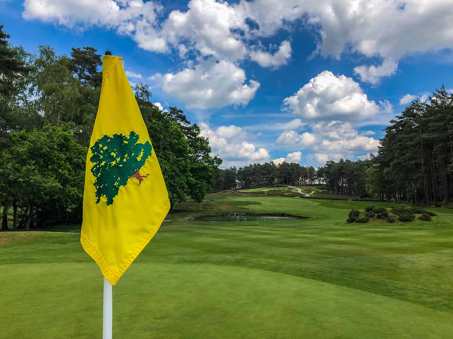 Sunningdale Golf Club photo gallery