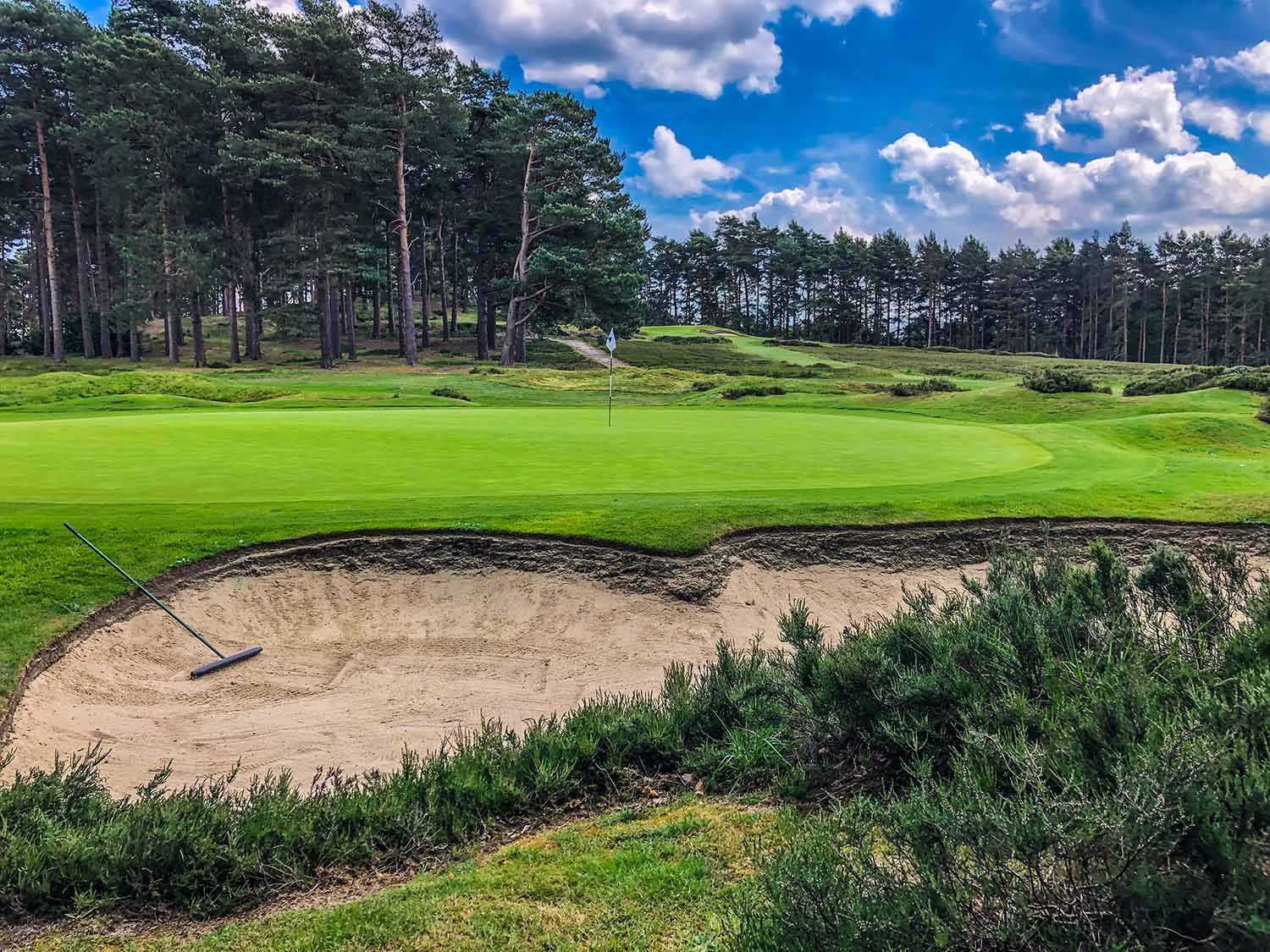 Sunningdale Golf Club photo gallery